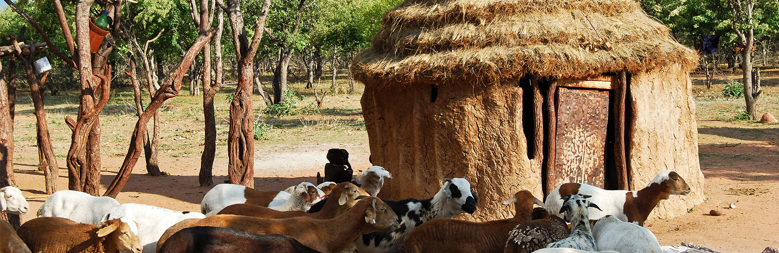 Rural Social Work Addressing Social Problems in Rural Areas